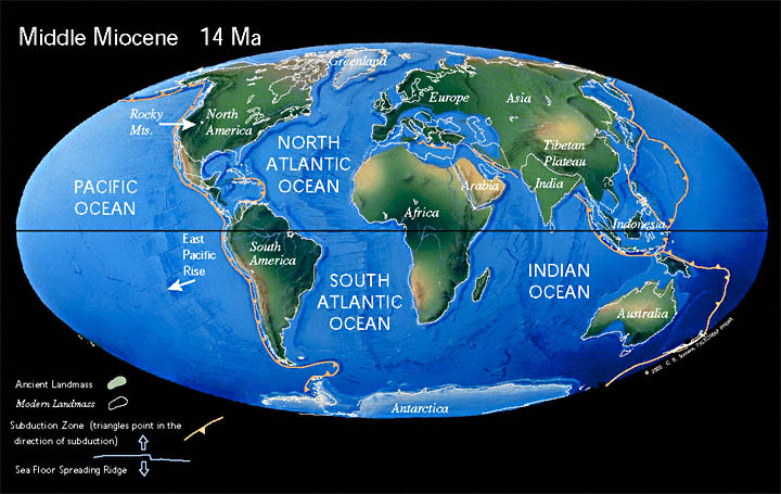 miocene period