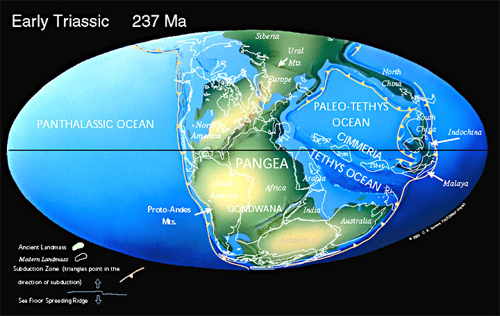  237.jpg (125185 bytes). The supercontinent of Pangea, mostly assembled by 