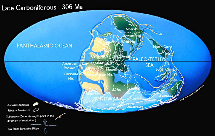 Paleogeographic reconstruction for the Carboniferous