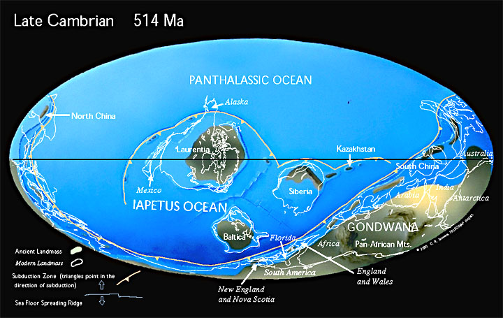 Paleogeographic reconstruction for the Cambrian