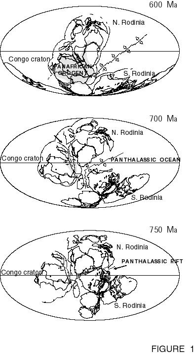 rodinia.jpg (65187 bytes)